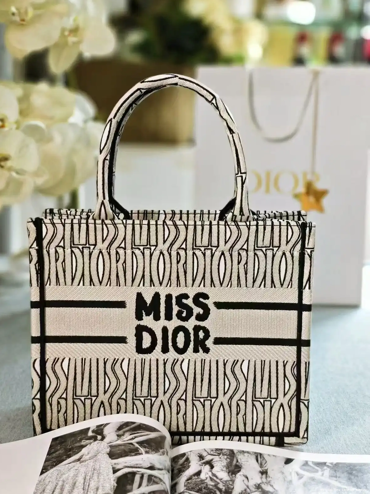 Tony Luxuries SMALL diro BOOK TOTE-26CM 0417